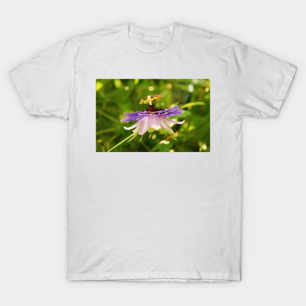 Purple Haze Passiflora T-Shirt by jojobob